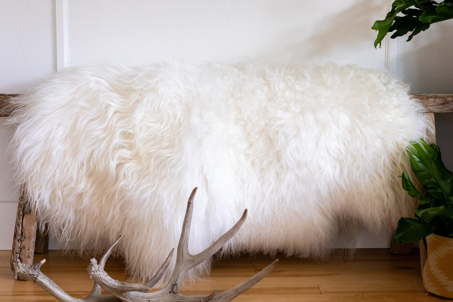 White fluffy ottoman with antlers and a plant on a wooden floor.