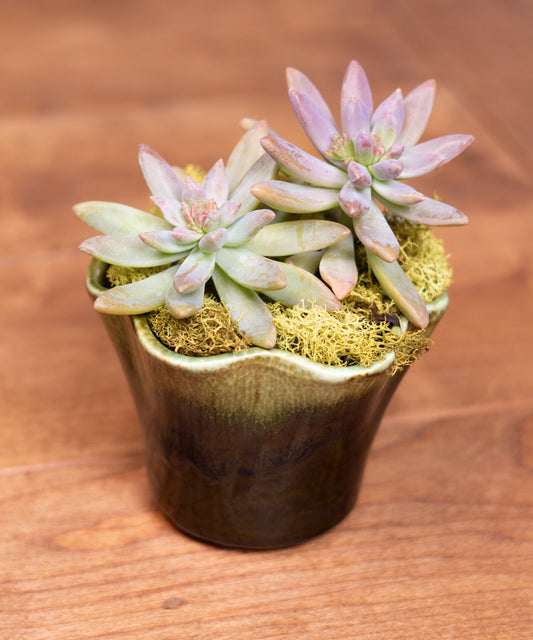 Vintage Green Scalloped Ceramic Planter