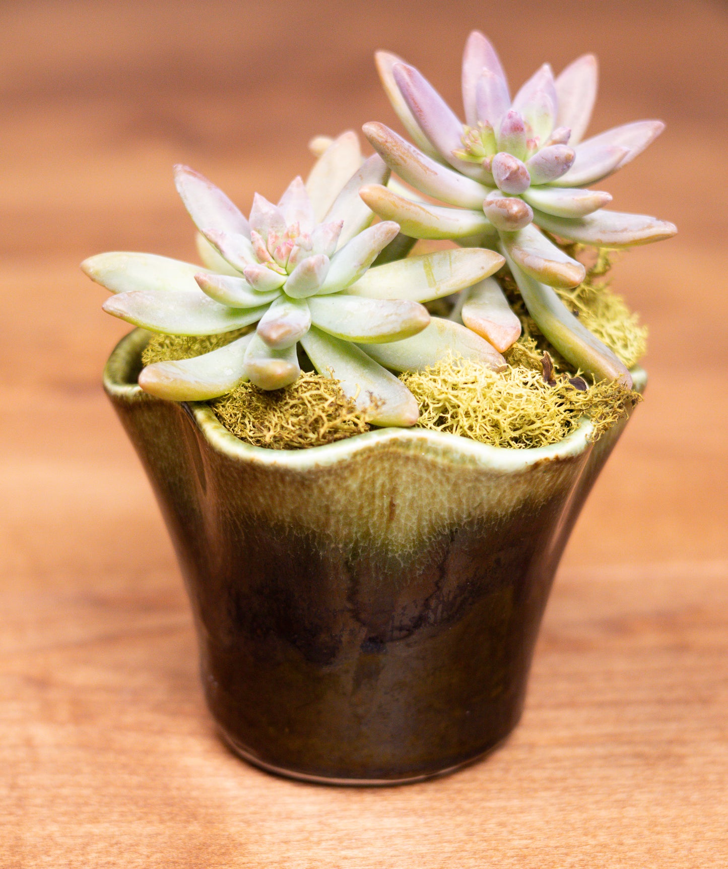 Vintage Green Scalloped Ceramic Planter