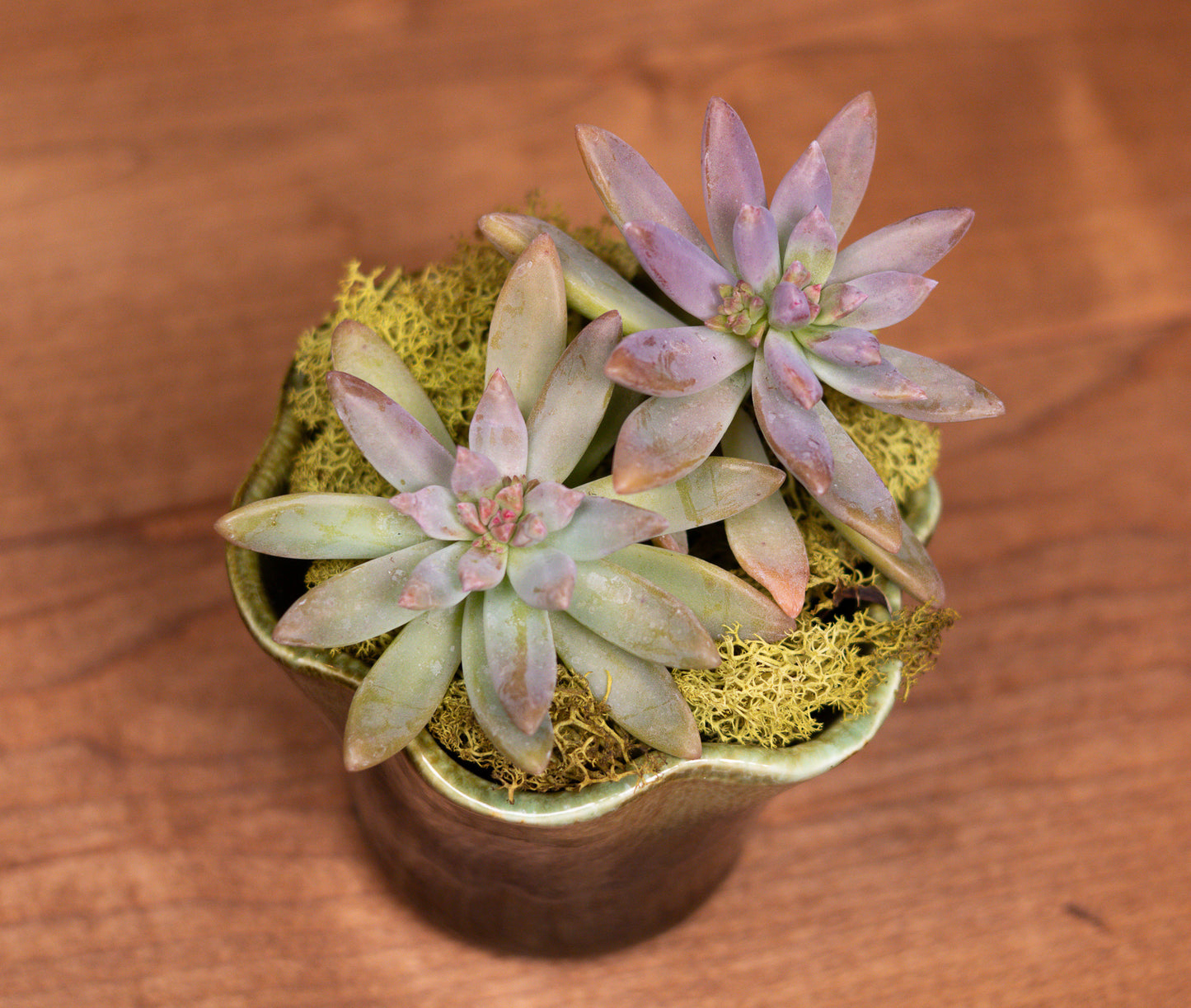 Vintage Green Scalloped Ceramic Planter