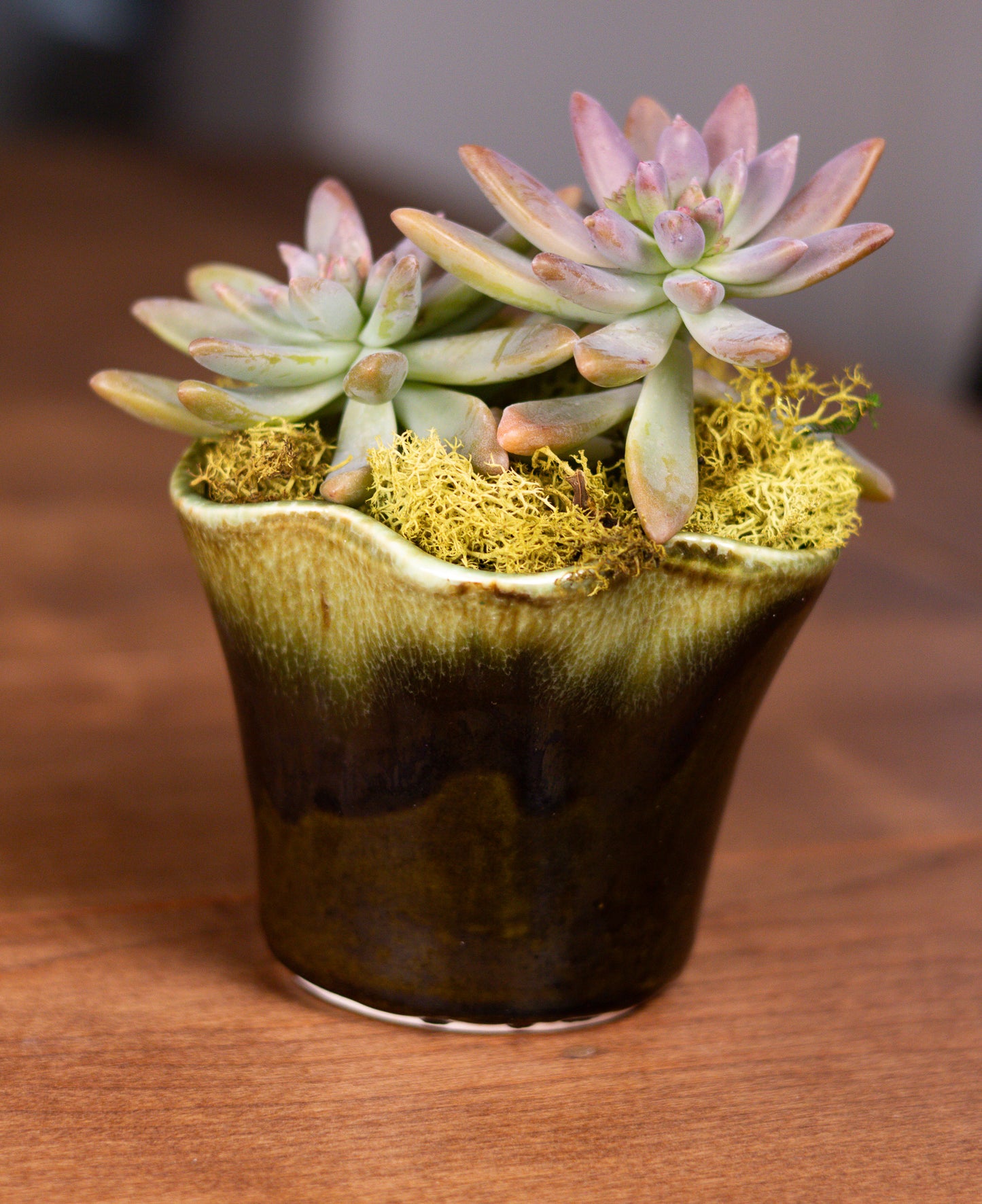Vintage Green Scalloped Ceramic Planter