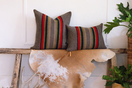 Two striped pillows on a wooden bench with a cowhide rug and plants in the background.