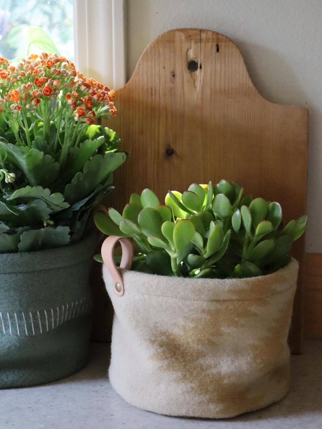 Two potted plants, one green and one with orange flowers, on a surface with a wooden headboard in the background.