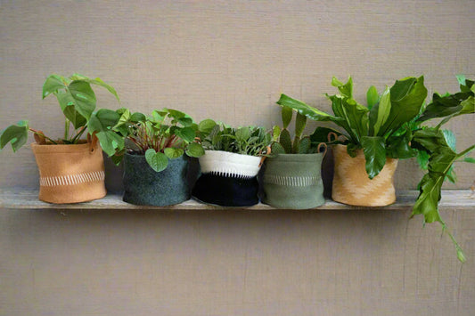 Handmade Pendleton® Wool Plant Basket with Leather Handles – Fits 6" Pot