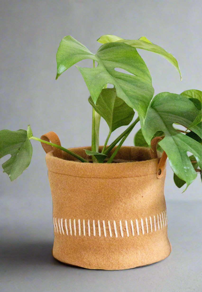 Handmade Pendleton® Wool Plant Basket with Leather Handles – Fits 6" Pot