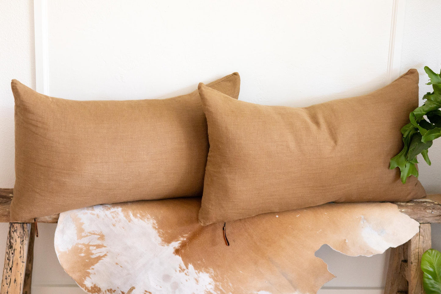 Two brown pillows on a wooden bench with a white wall and green plant in the background