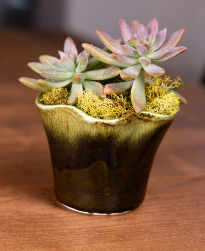 Vintage Green Scalloped Ceramic Planter