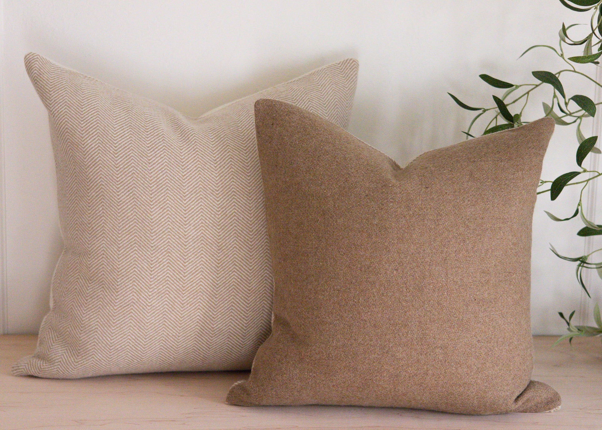 Two beige pillows on a wooden surface with a plant in the background
