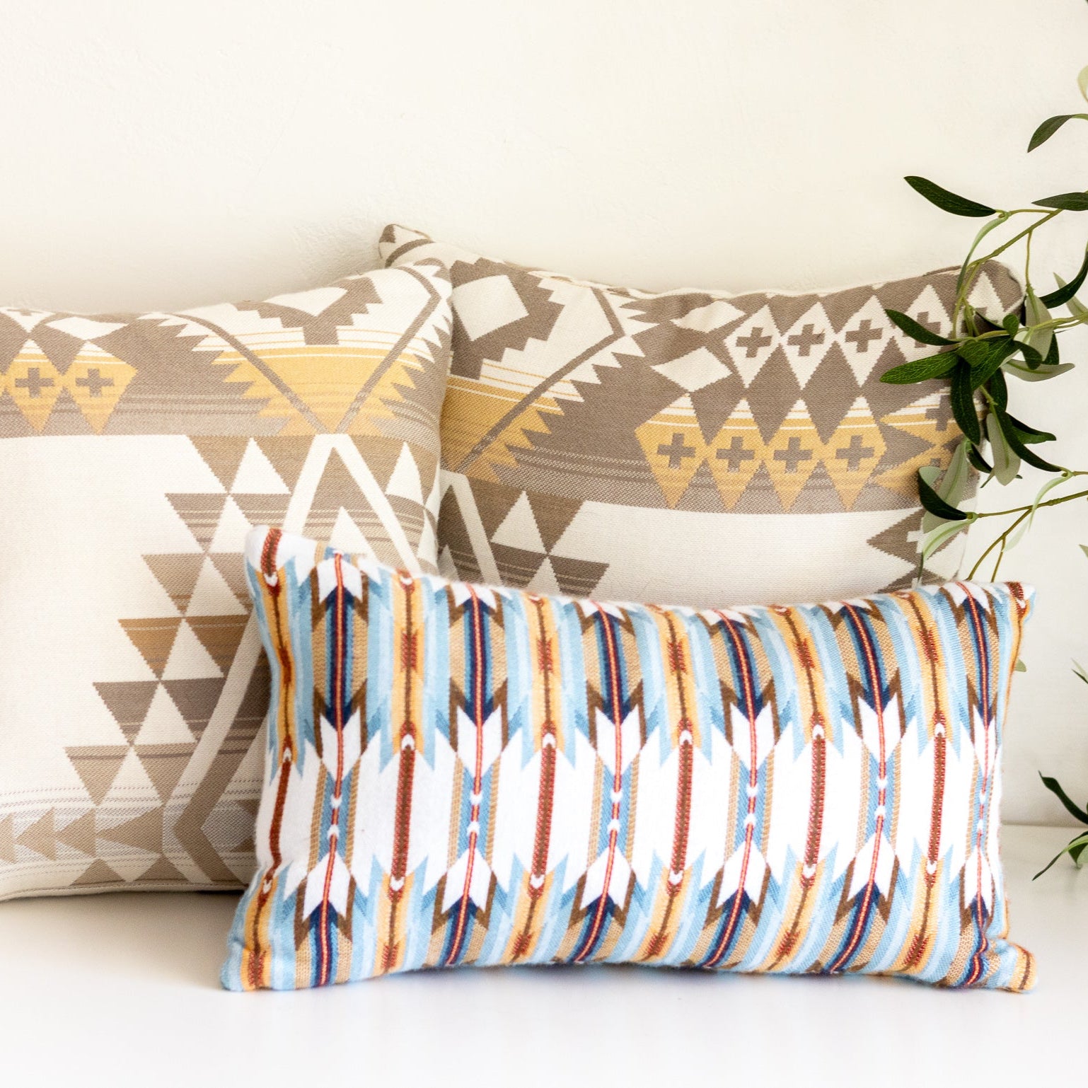 Two patterned pillows on a white surface with a plant in the background