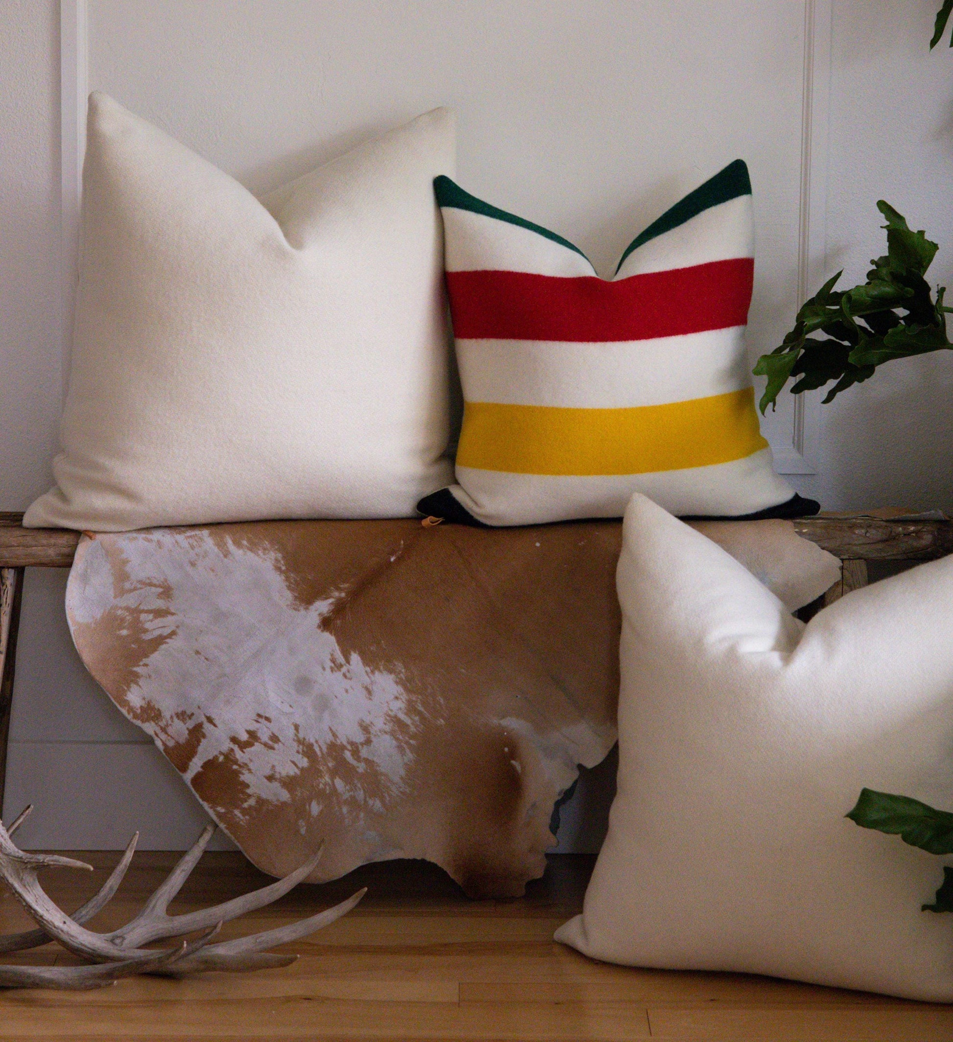 Decorative pillows on a wooden surface with a plant in the background