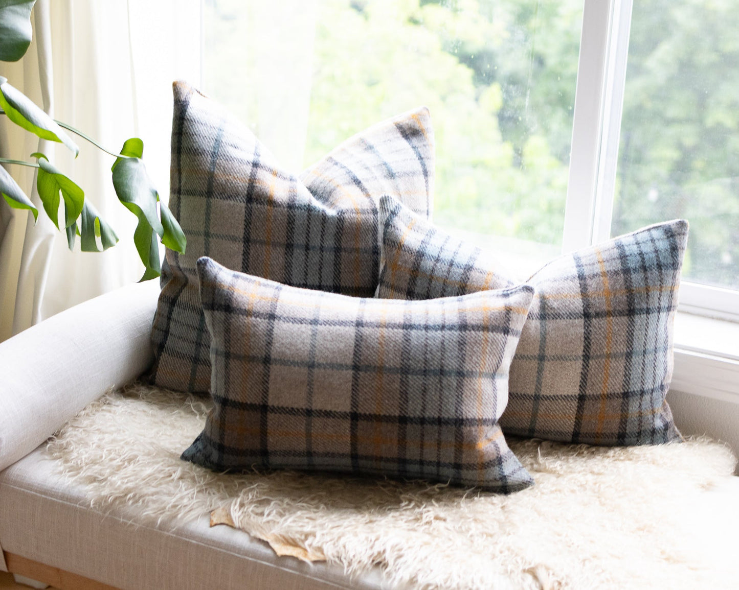 Plaid cushions on a sofa by a window with natural light